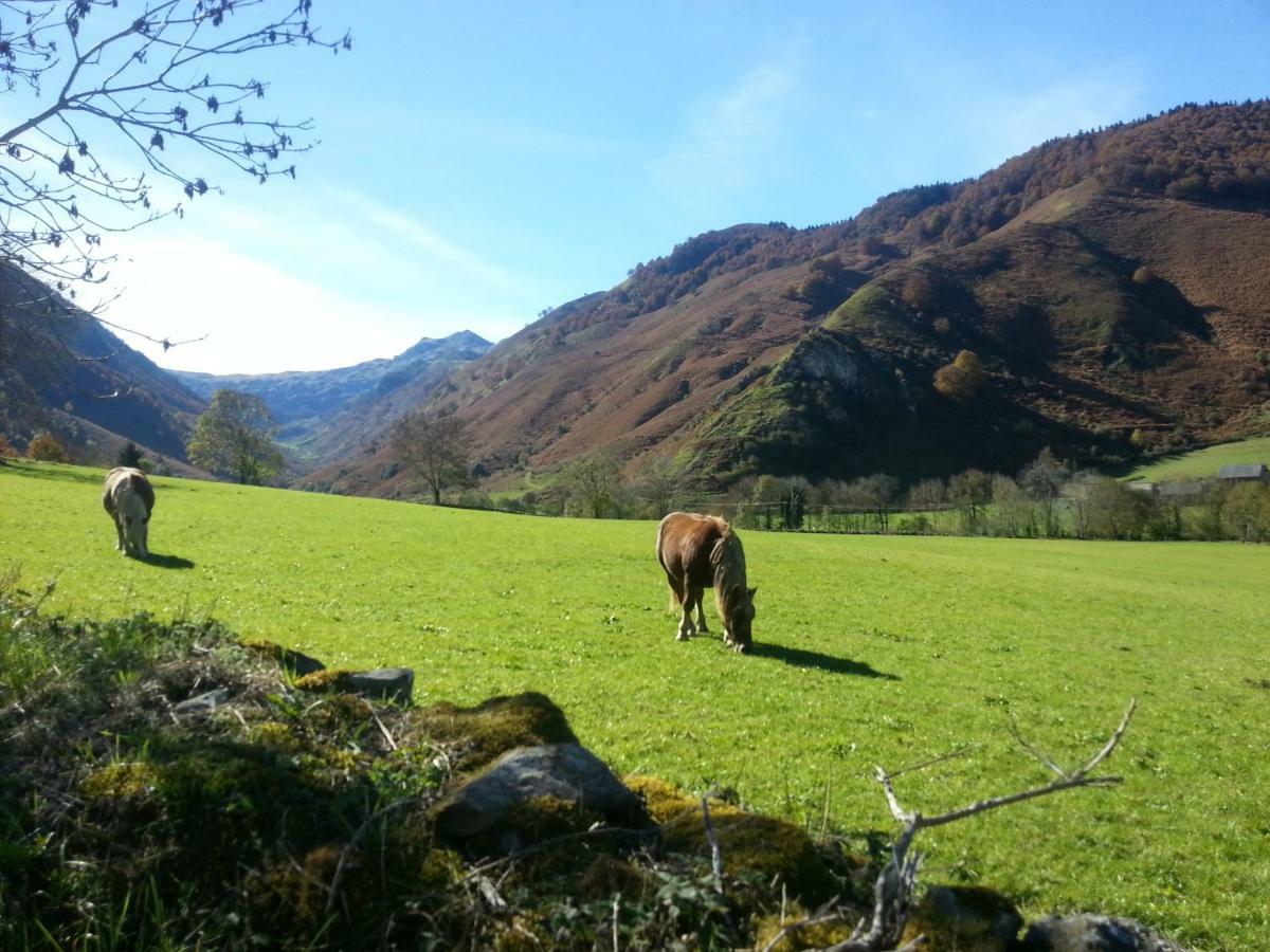 Gite De Montagne Du Plateau De Lhers- Accueil Randonneurs Accous Esterno foto