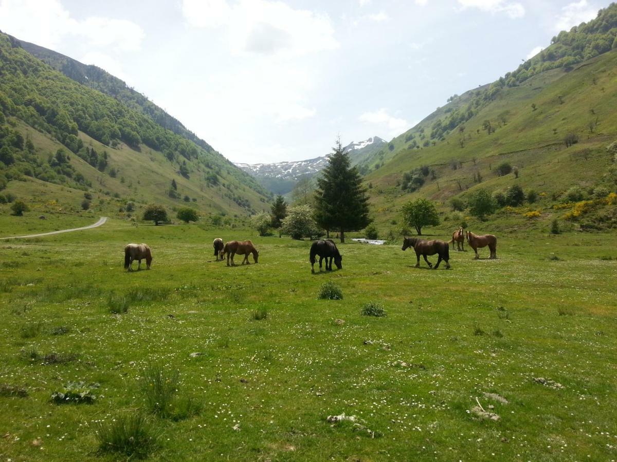 Gite De Montagne Du Plateau De Lhers- Accueil Randonneurs Accous Esterno foto