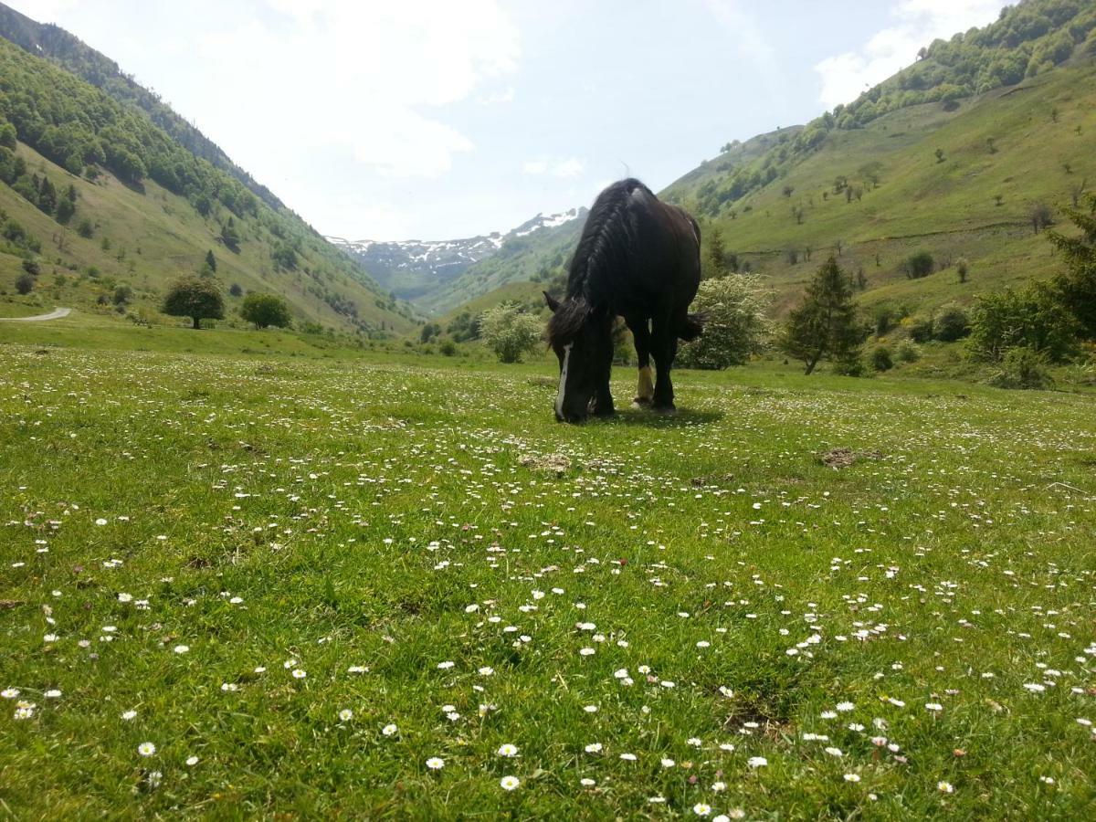 Gite De Montagne Du Plateau De Lhers- Accueil Randonneurs Accous Esterno foto